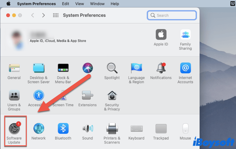 update Safari on Mac