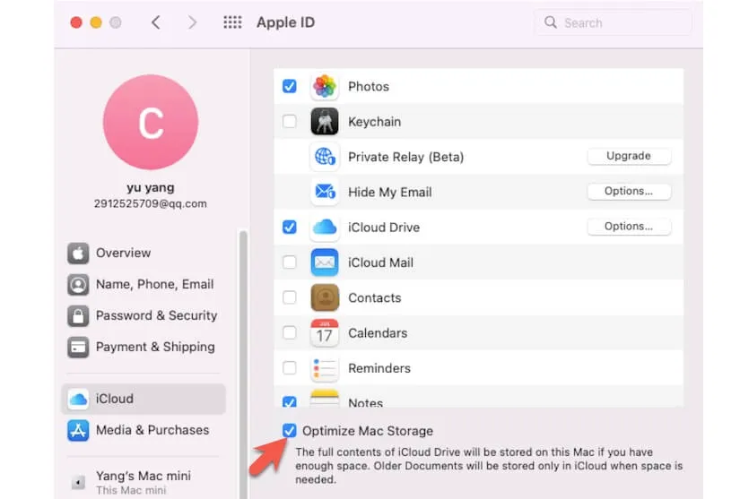 desmarca Optimizar almacenamiento de Mac en iCloud