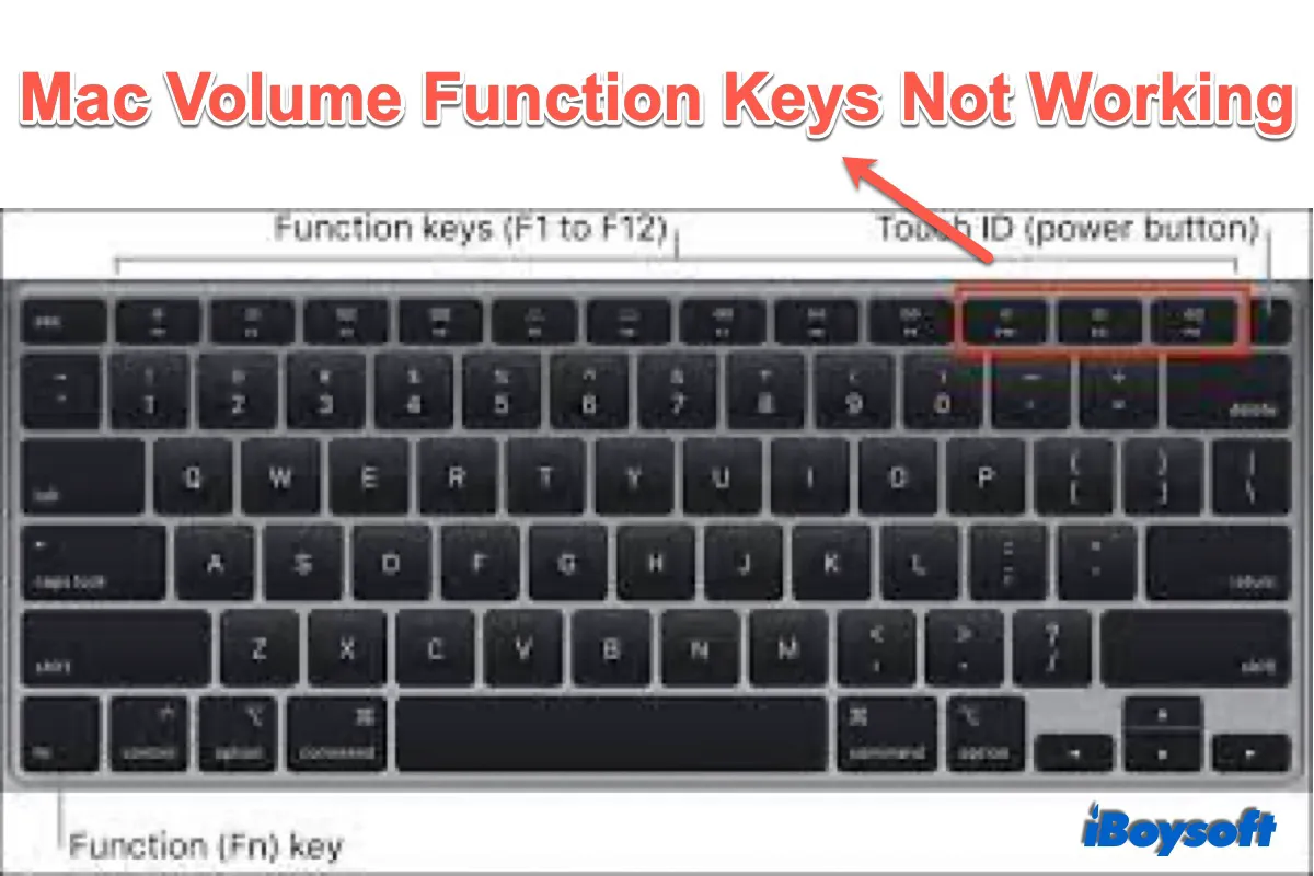 Mac volume function keys not working