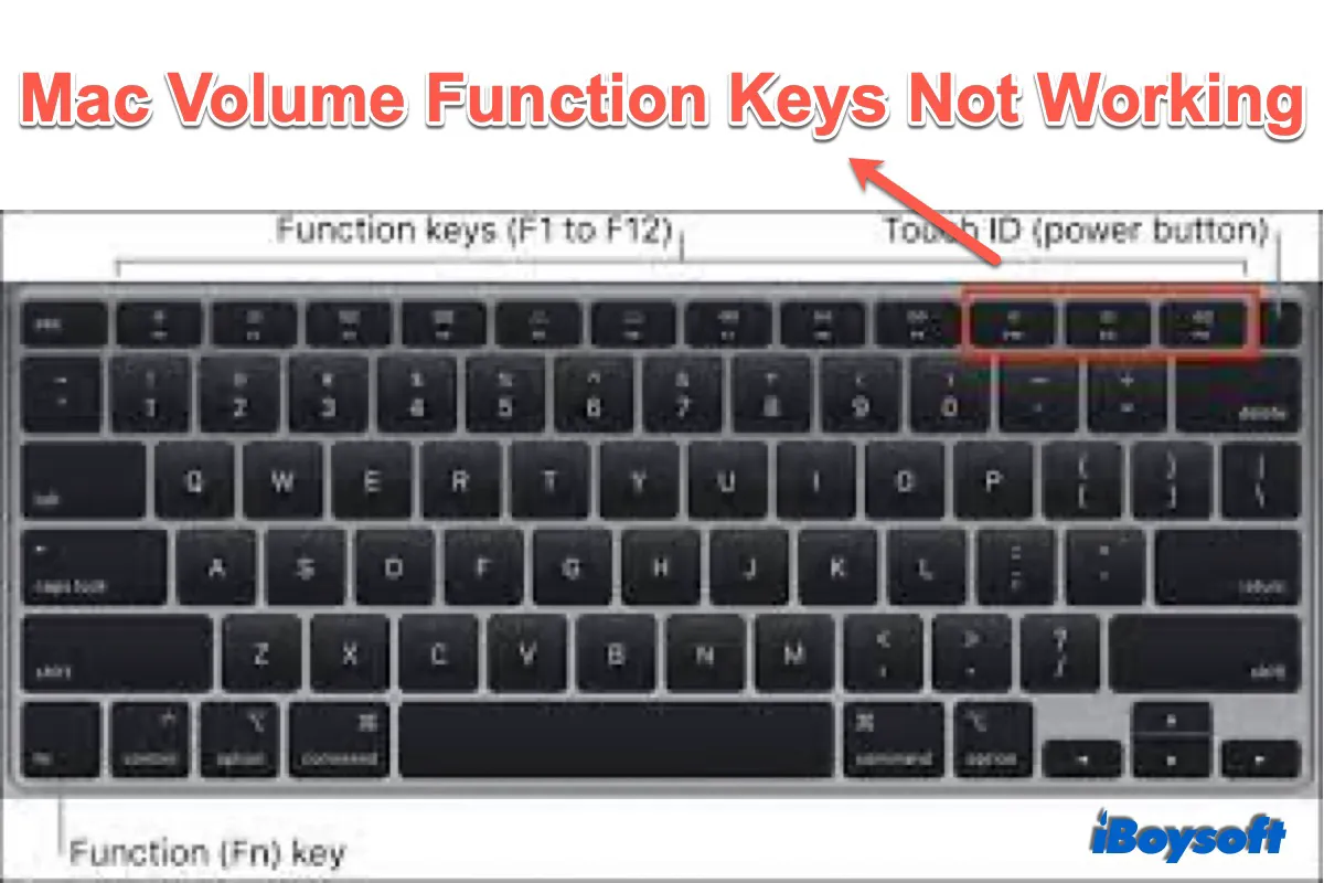 Summary Mac Volume Function Keys Not Working 