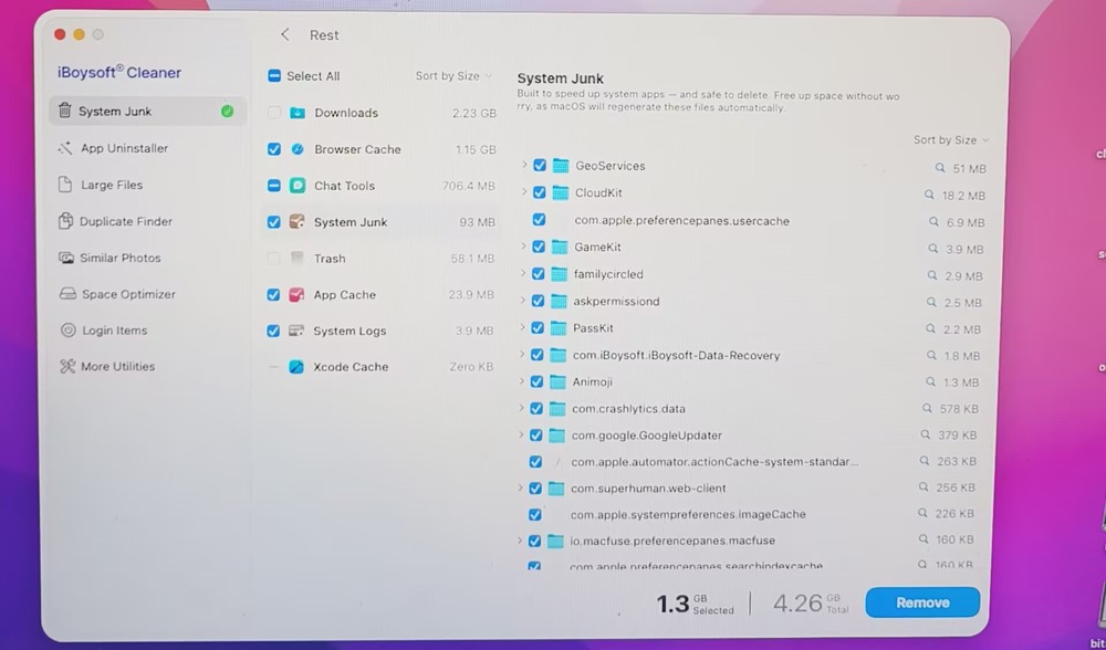 System Junk scanning result