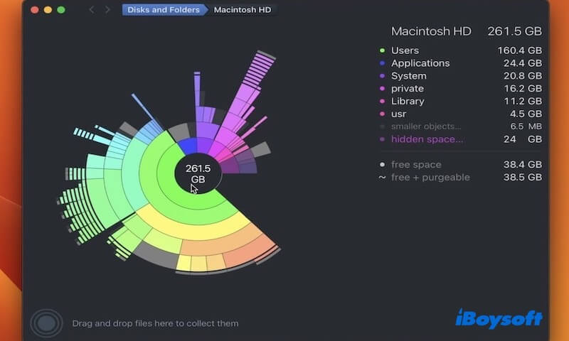 interface principale de daisydisk