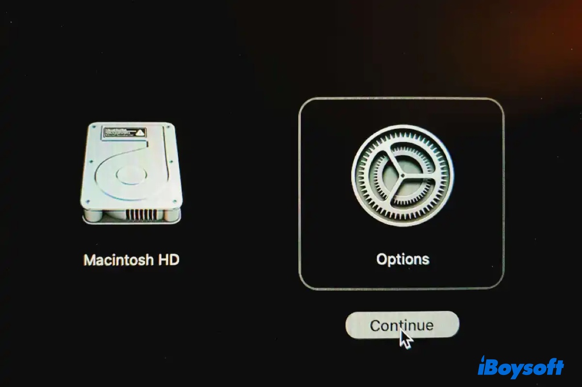 Click Continue to boot into macOS Recovery mode in Apple Silicon Mac