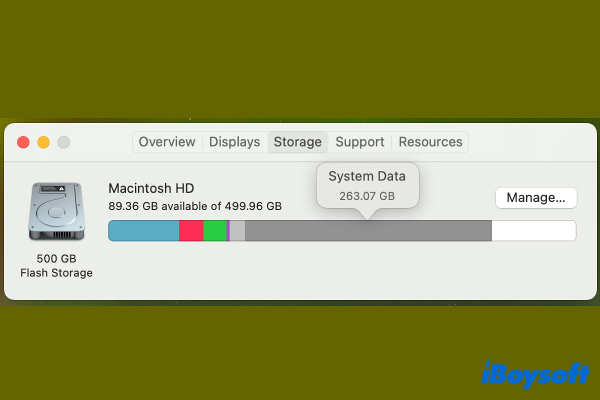 macOS System Data huge