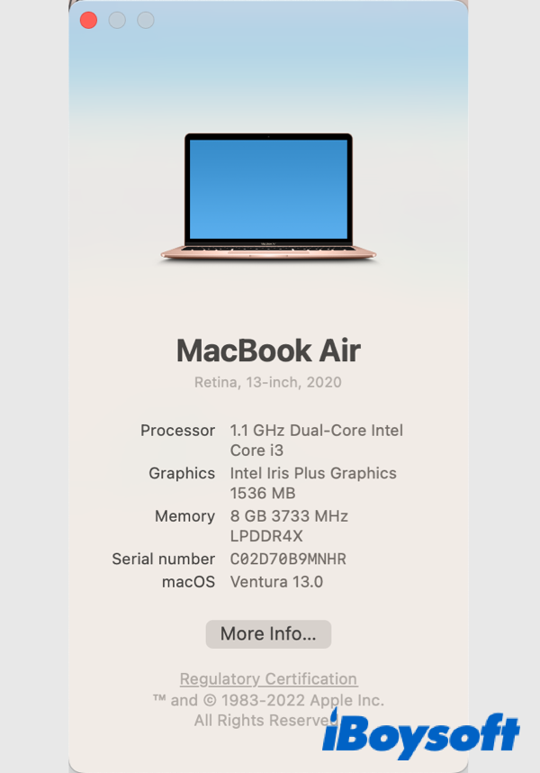 identify mac processor