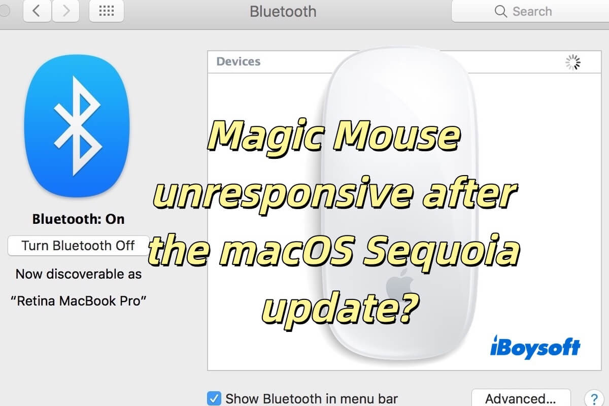 resumo-magic-mouse-unresponsive-after-the-macos-sequoia-update