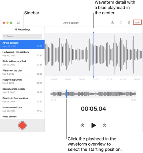 record and edit on Voice Memos