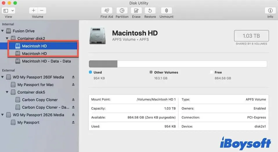 two Macintosh HD show up in Disk Utility