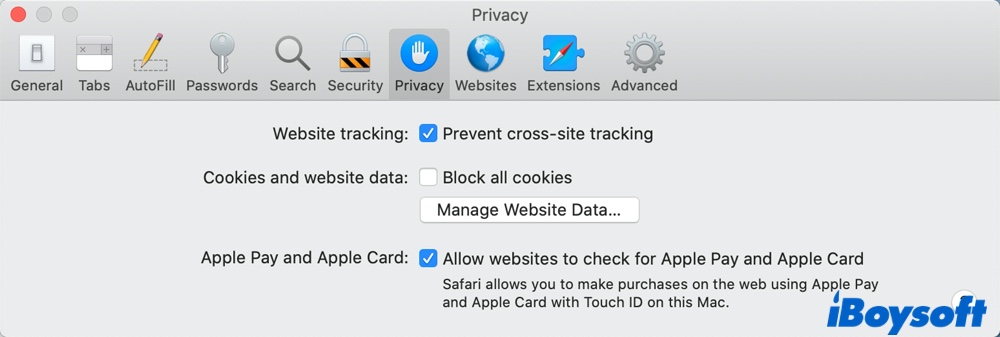 Safari Privacy tab
