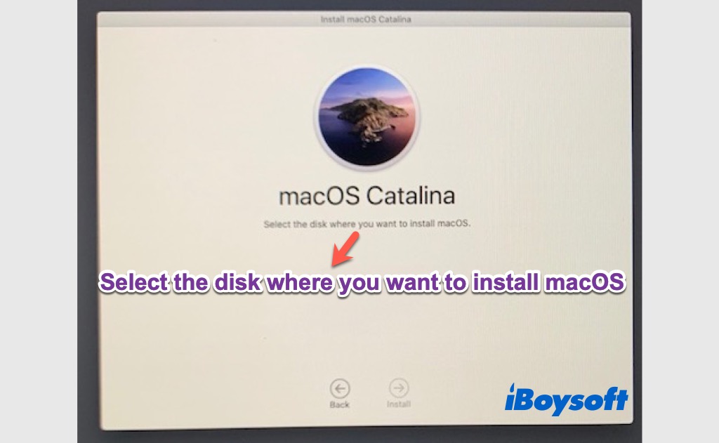 Der Bildschirm für die Auswahl des Datenträgers, auf dem macOS installiert werden soll, ist leer