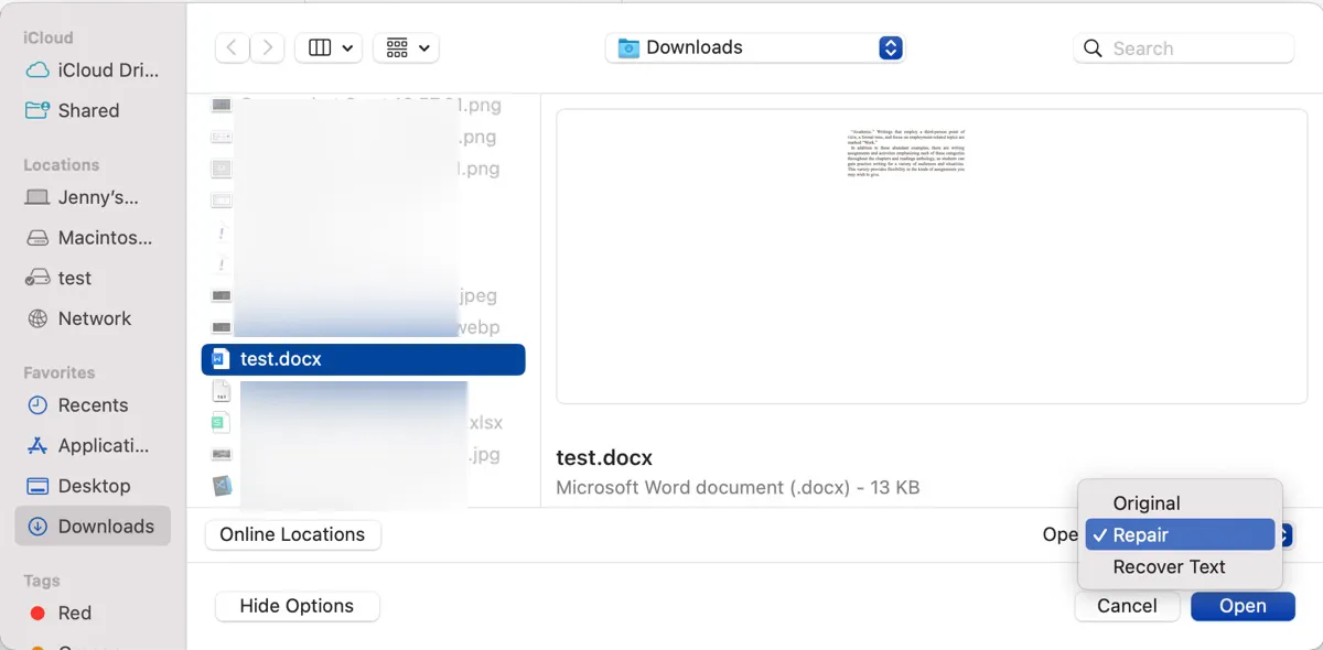 Beschädigtes Word-Dokument auf Mac reparieren