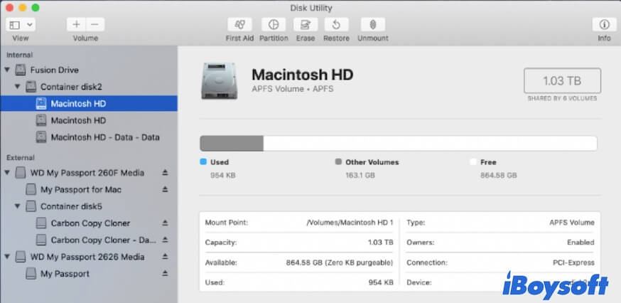 two Macintosh HD volumes