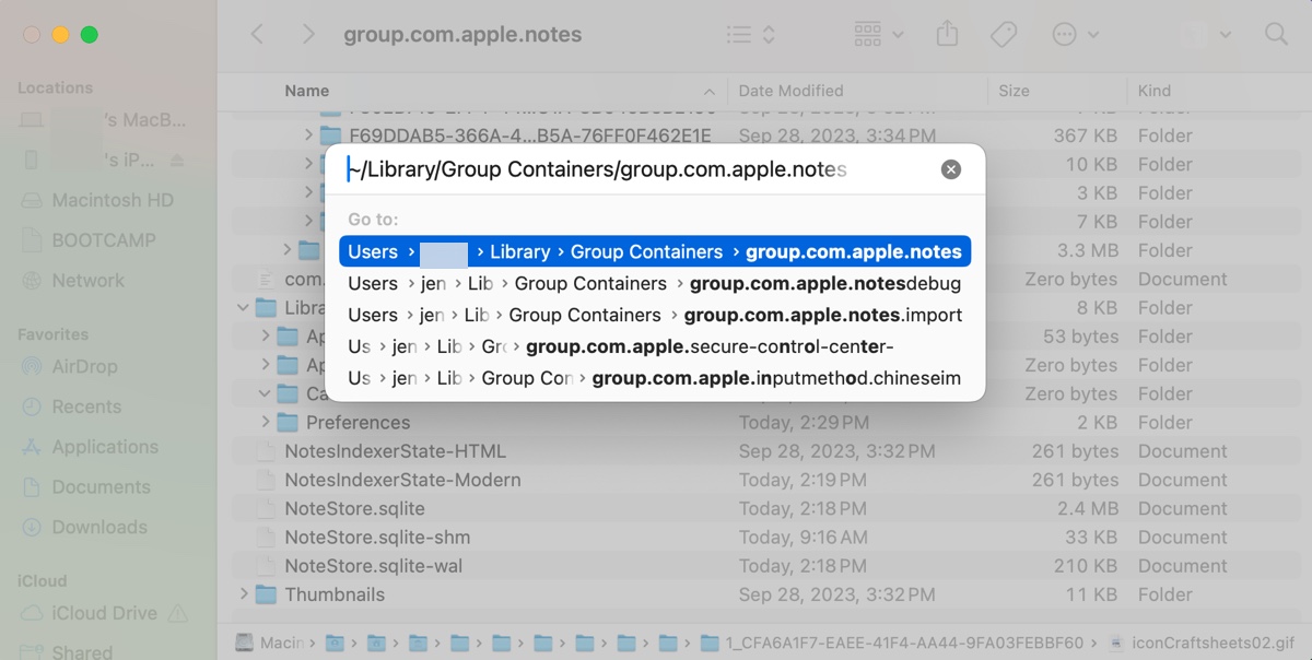 How to access the Notes folder path on Mac