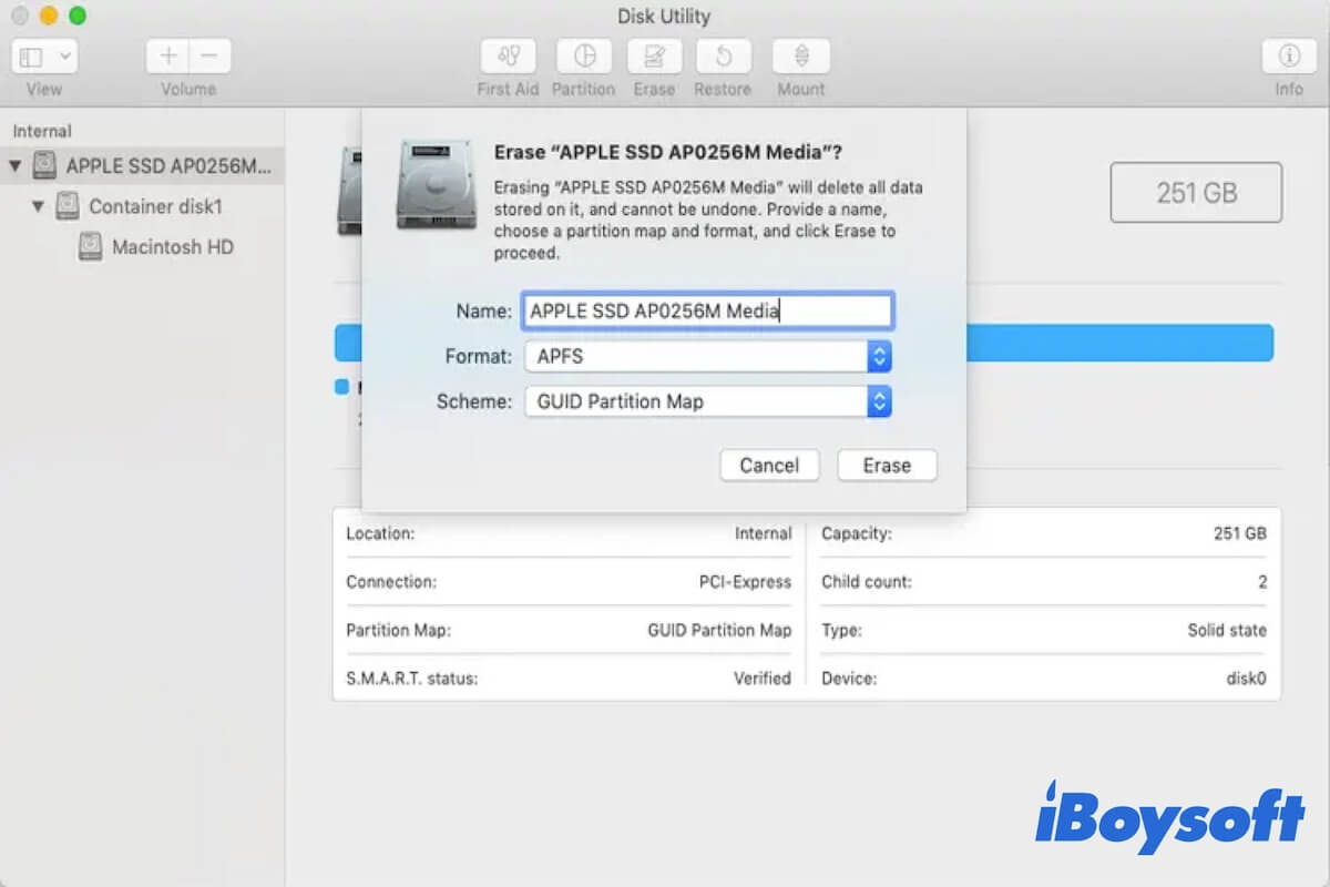 instal the new version for mac Wipe Professional 2023.09