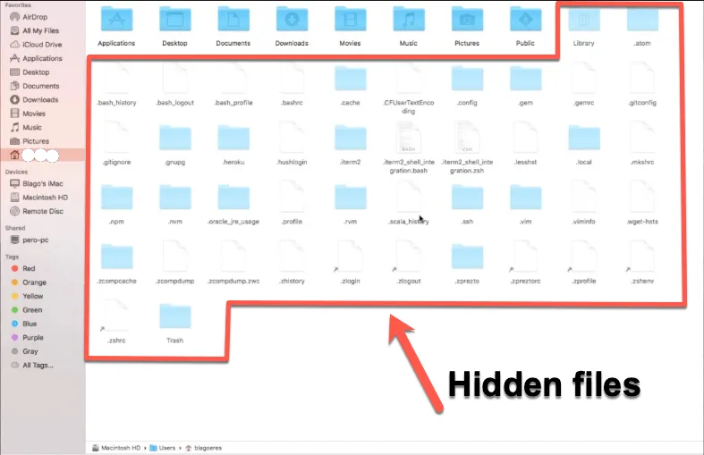 Show the hidden files on your Mac 