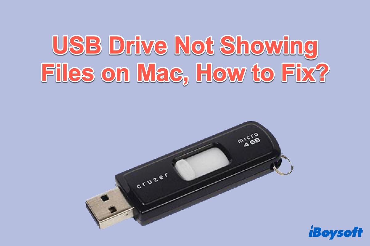 Constraints Method Throat Can't See Files on the USB Drive Mac, How to Fix?