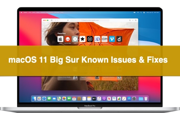 fix macOS Big Sur problems