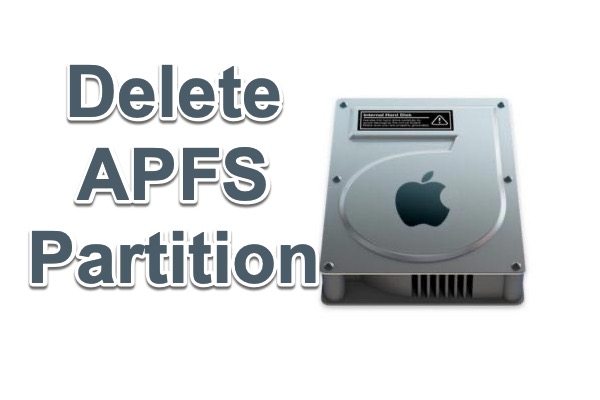 delete APFS partition