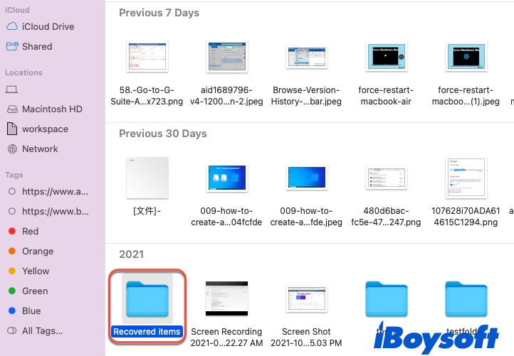 imagem mostrando a pasta de Itens Recuperados na Lixeira do Mac