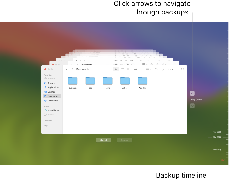 Wie man gelöschte oder verlorene Freeform-Boards auf dem Mac wiederherstellt