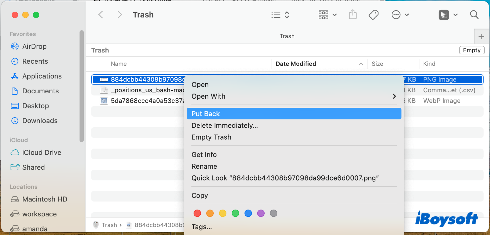 put back files from trash