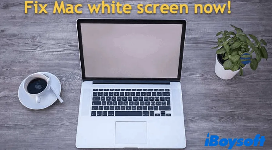 Fix Mac white screen