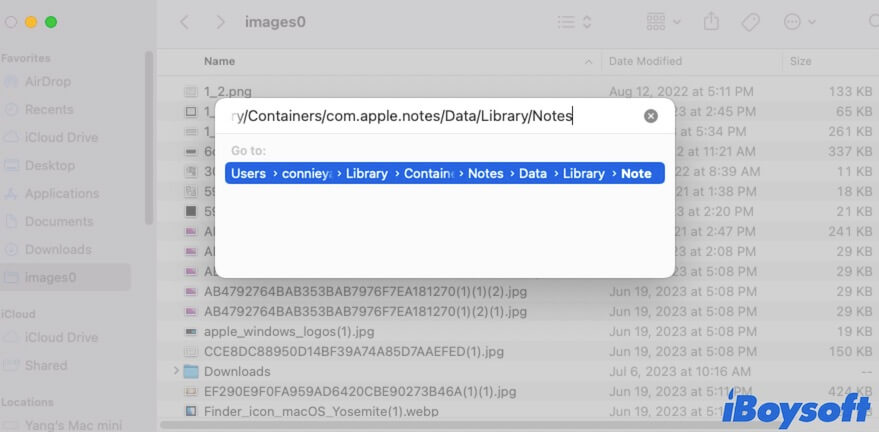 find notes storeddata on Mac