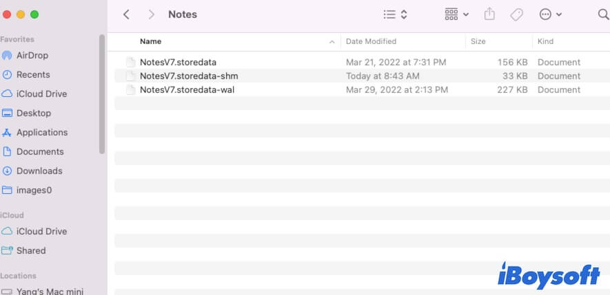 the Notes storeddata on Mac