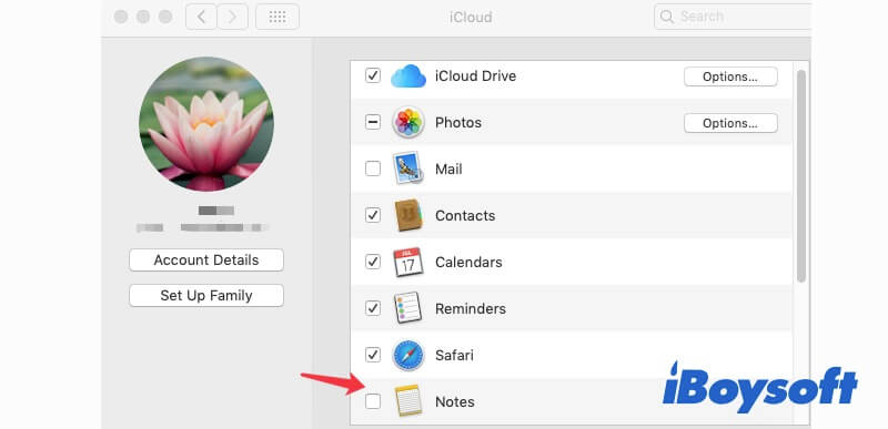 uncheck Notes in iCloud