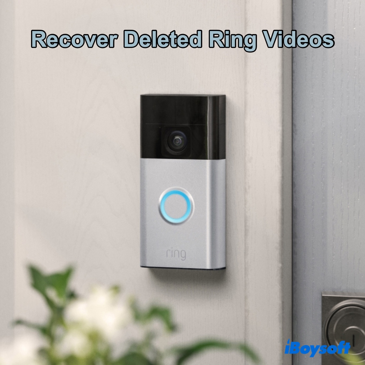 Recover deleted Ring videos