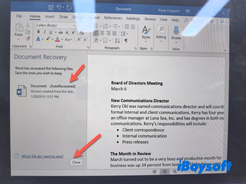 Document-Recovery-pane