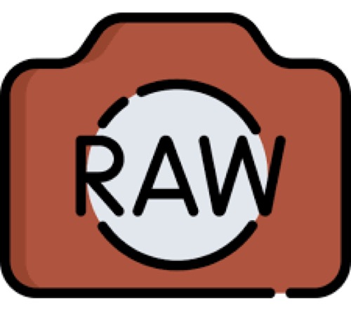 how to recover RAW files from an SD card on Mac and Windows