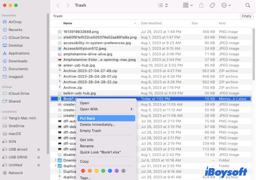 put back the deleted Excel files in Trash