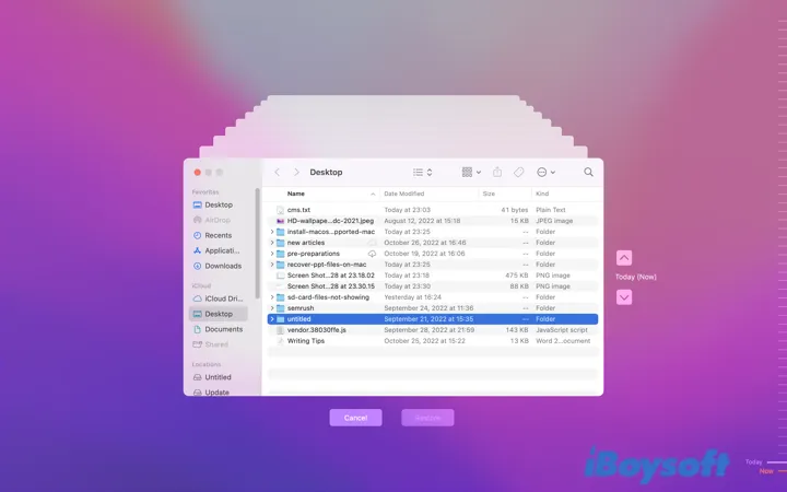 Restore Sketch files with Time Machin backup