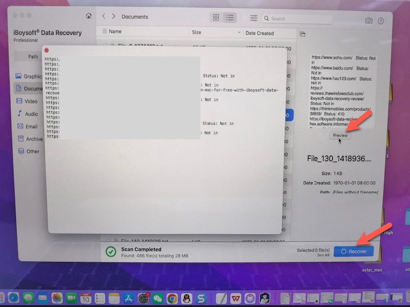 preview-results-before-recovery