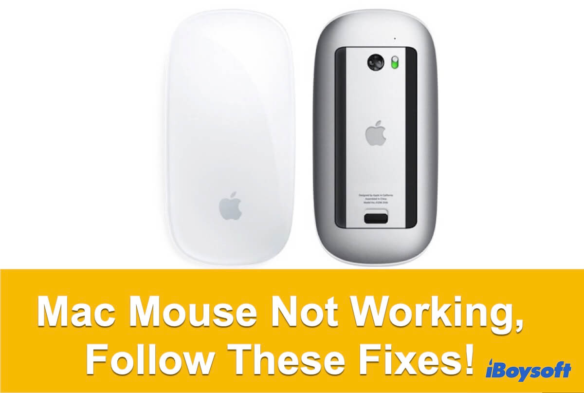 Apple mouse not working on Mac