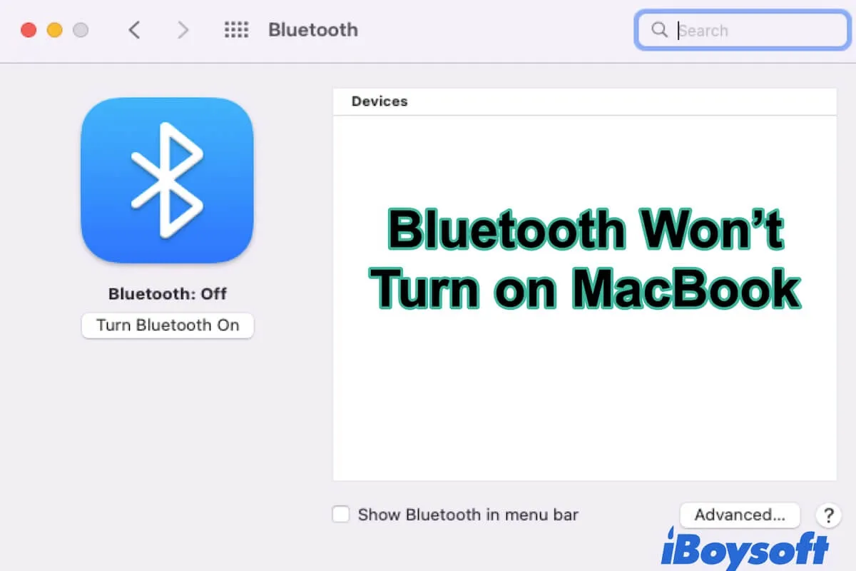 Bluetooth wont turn on MacBook