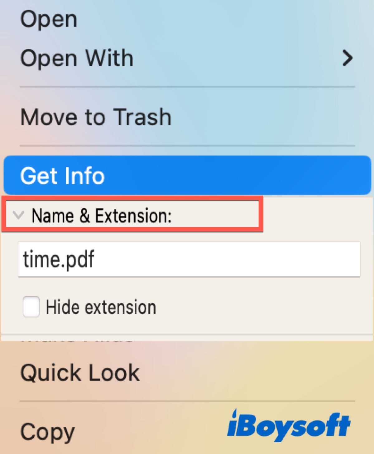 Change the extension of the file