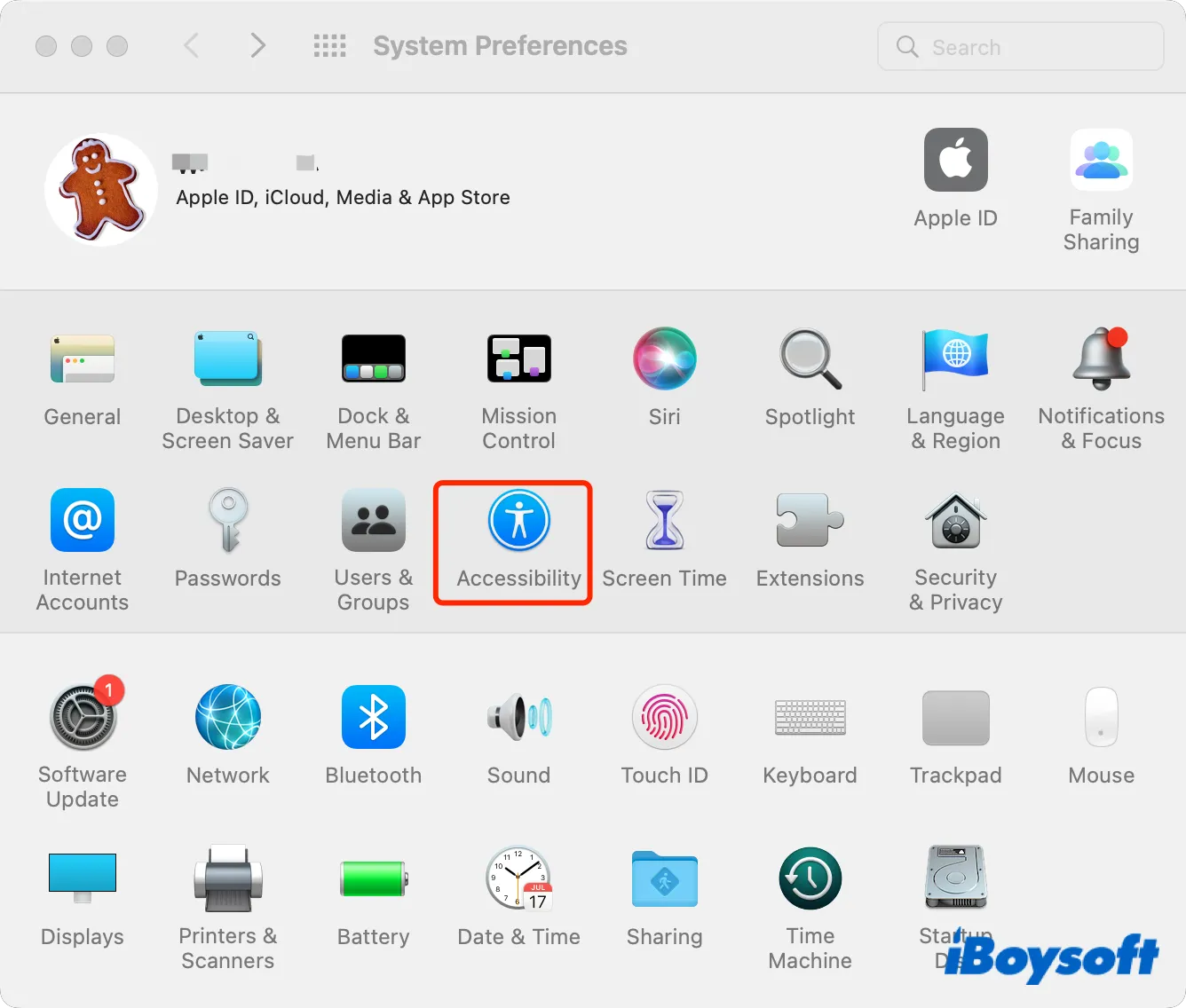 accessibility of system preferences