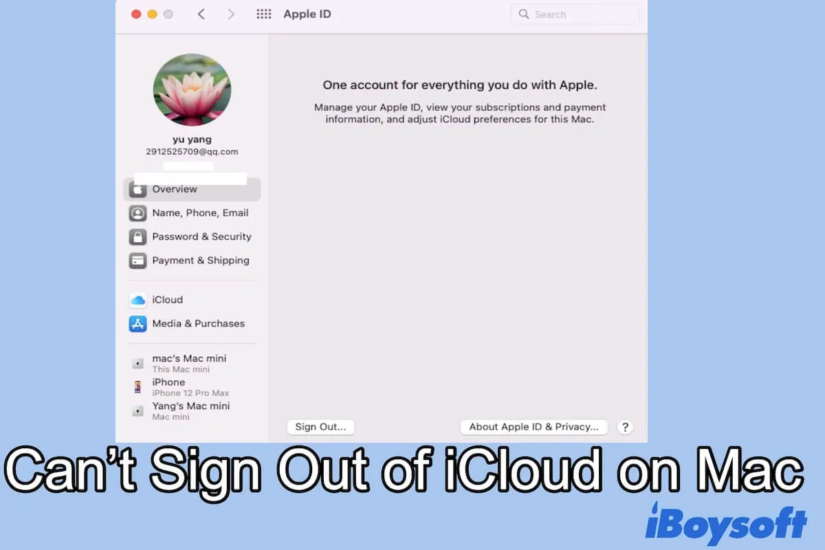 cant sign out of icloud mac