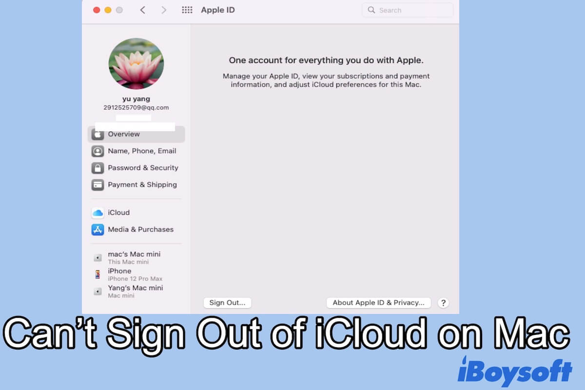 cant sign out of icloud mac