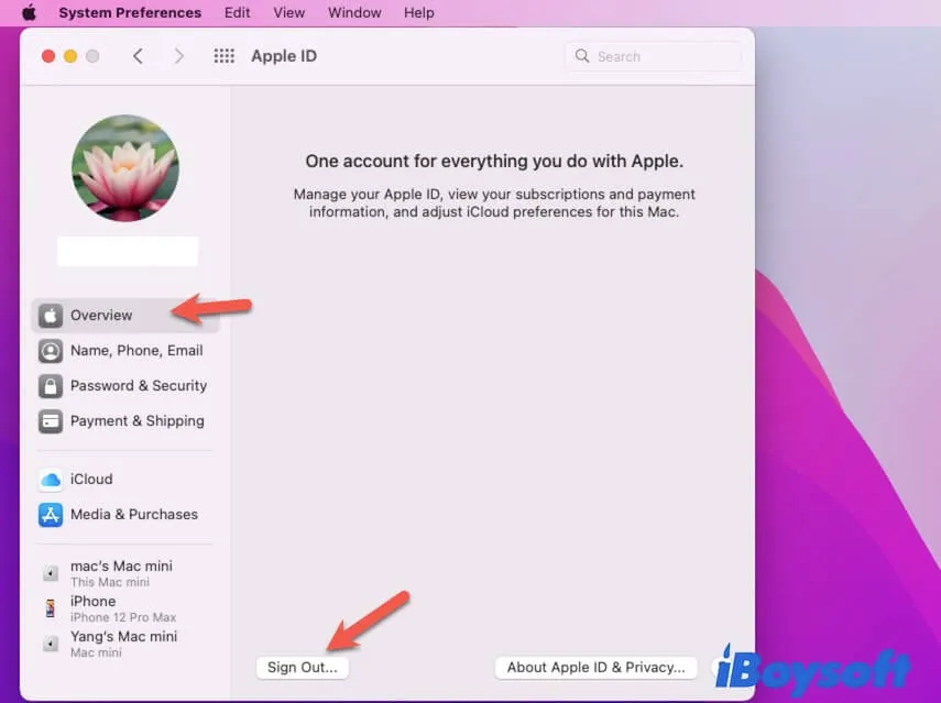 sign out of iCloud in Apple ID with admin password