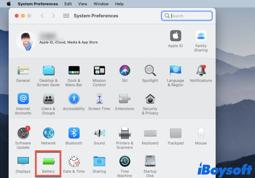Battery in System Preferences