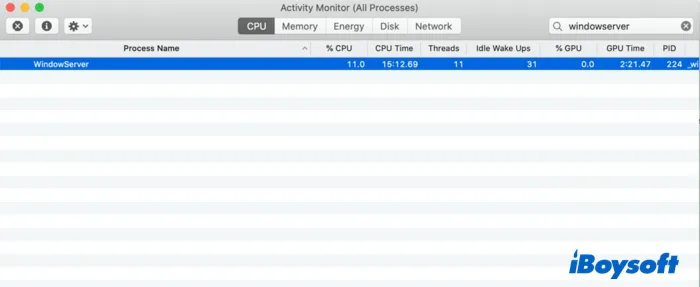 find windowserver process on Mac Activity Monitor