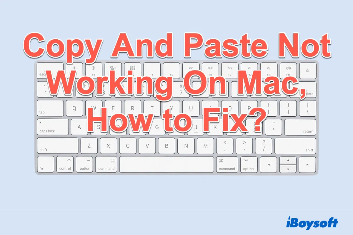 copy and paste not working on Mac 