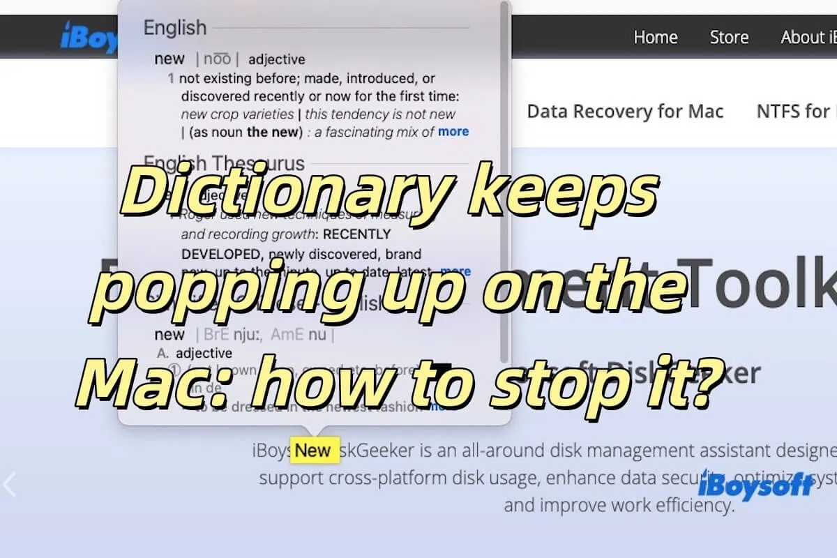 summary-dictionary-keeps-popping-up-on-mac