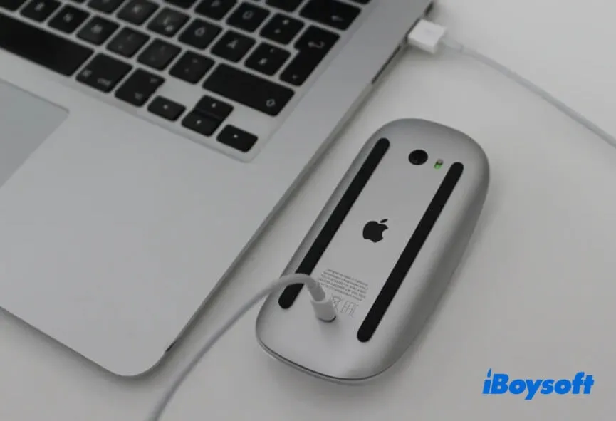 conectar el Magic Mouse a Mac con cable USB