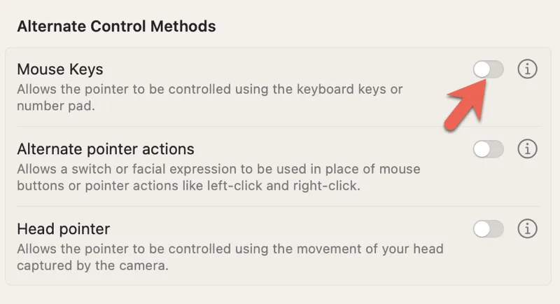 How to enable mouse keys