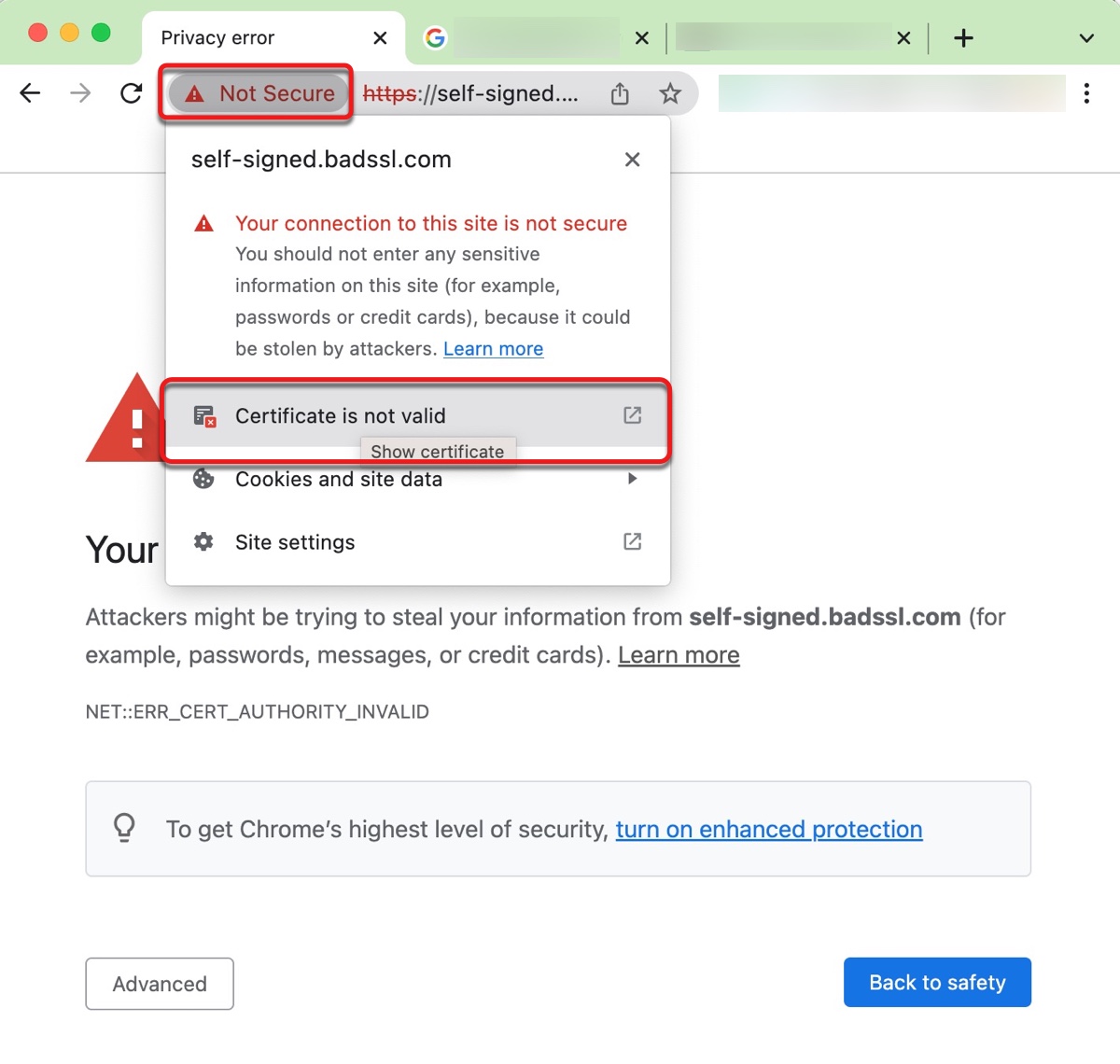 Überprüfen Sie das Zertifikat auf Chrome