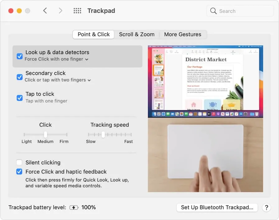 reset Trackpad preferences